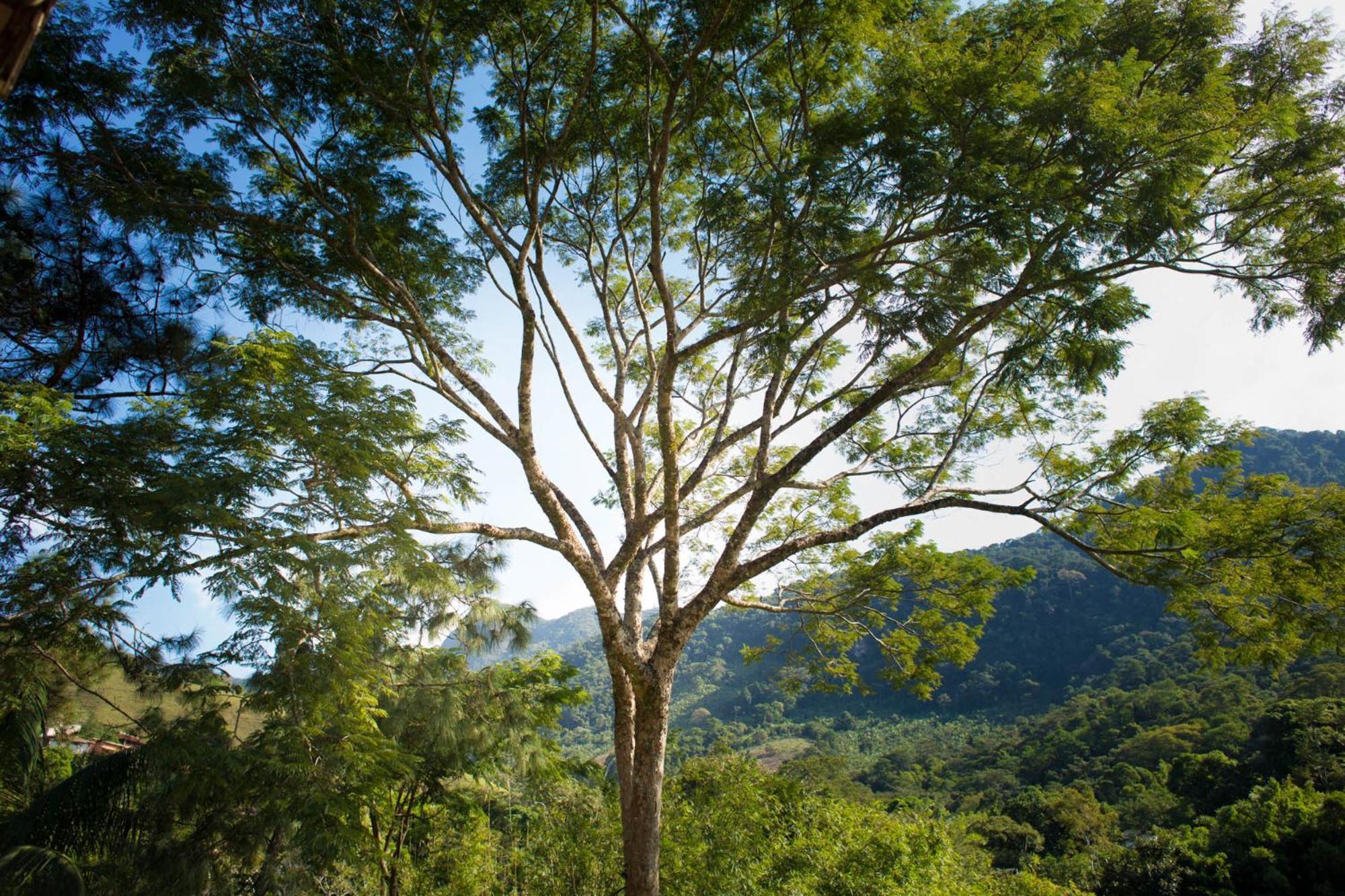 Pousada Cascata Casimiro de Abreu Chambre photo